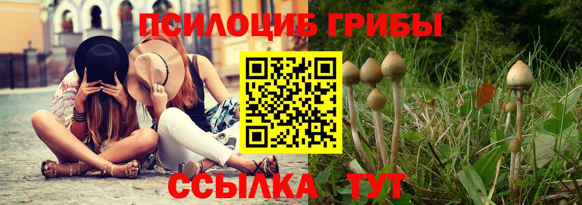 Псилоцибиновые грибы Cubensis  Галлюциногенные грибы Psilocybe  где продают наркотики  Корсаков  Вход с VPN 