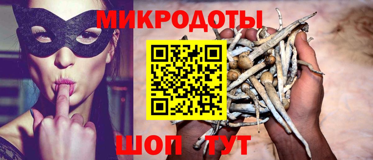 Псилоцибиновые грибы мухоморы Корсаков